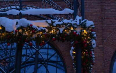 Pros and Cons of Outdoor Christmas Lights Left Up All Winter