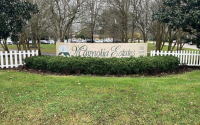 Lafayette Estate Landscaping That Survives Summer Heat