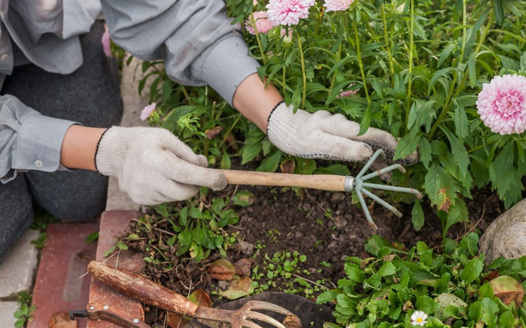 Key Differences in Flowerbed Weeding Services by Season