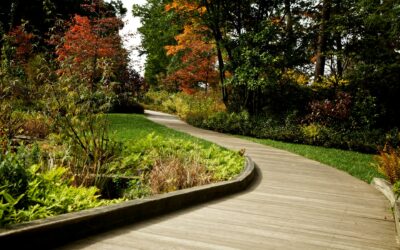 Landscape Horticulture Secrets for Lush Lafayette Gardens