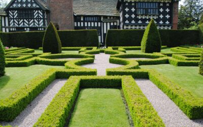 When Upscale Landscaping Transforms Lafayette Estate Living