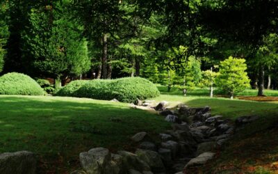Why Your Lafayette Estate Needs Smart Landscapes, Not Just Lawn Care