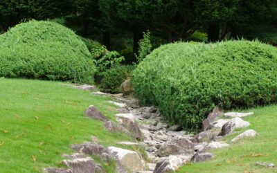 Common Landscape Drainage Mistakes in Lafayette Estates