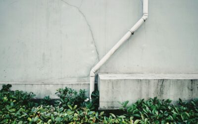 Smart Landscapes for Lafayette Homes with Drainage Issues