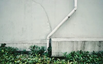 Smart Landscapes for Lafayette Homes with Drainage Issues