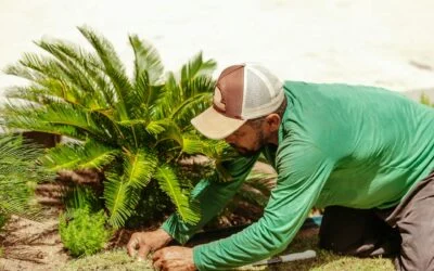 When Estate Landscaping in Lafayette Hurts Your Home Value