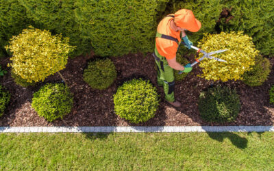 Design Ideas for Landscaping River Ranch and Grand Pointe Homes