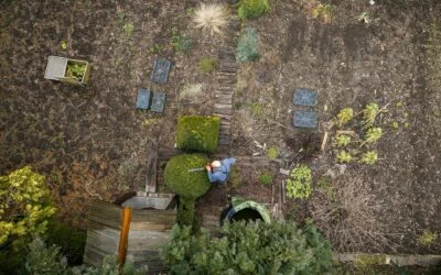 Post-Storm Yard Recovery in Lafayette: What to Inspect and When to Call a Pro