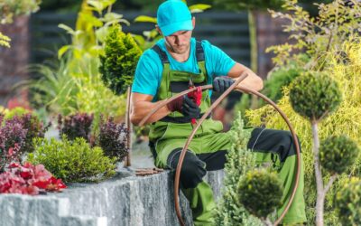 Signs Your Lafayette Landscape Needs a Professional Redesign
