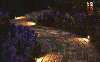 Landscape Lighting Ideas That Elevate Lafayette Luxury Yards