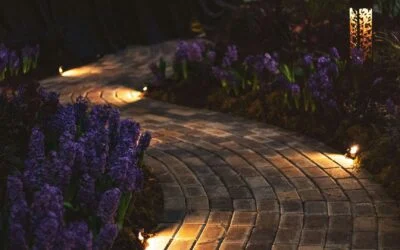 Landscape Lighting Ideas That Elevate Lafayette Luxury Yards