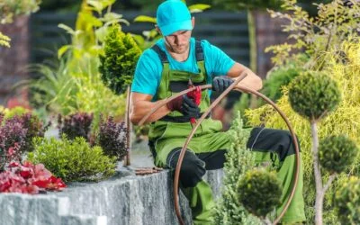 Smart Landscape Upgrades for Lafayette Yards: Before-and-After Playbook