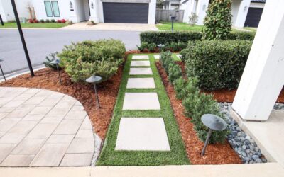 A Complete Outdoor Living Space: The Long Game Project