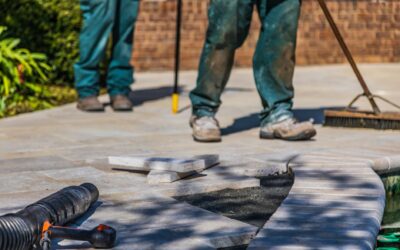 Landscaping Company Near Me in Lafayette: How to Choose