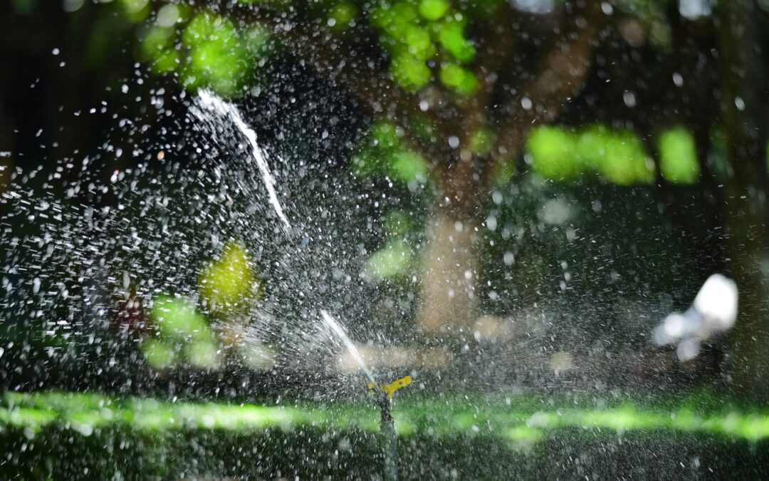 Irrigation System Installation in Lafayette & Acadiana: The Complete Guide