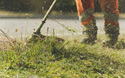 Lawn Mowing Service Near Me: What Acadiana Homeowners Should Know