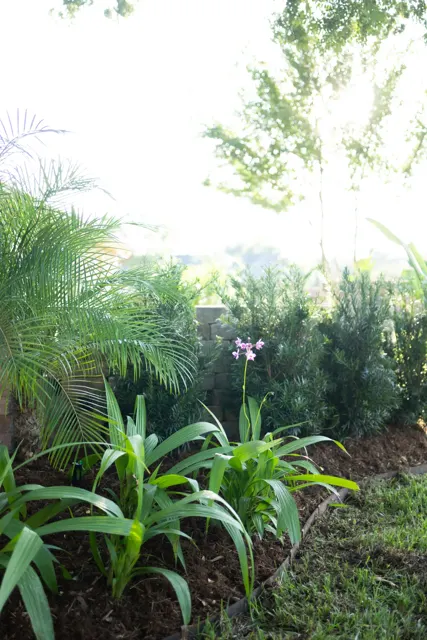 Cooley landscape project — photo 26