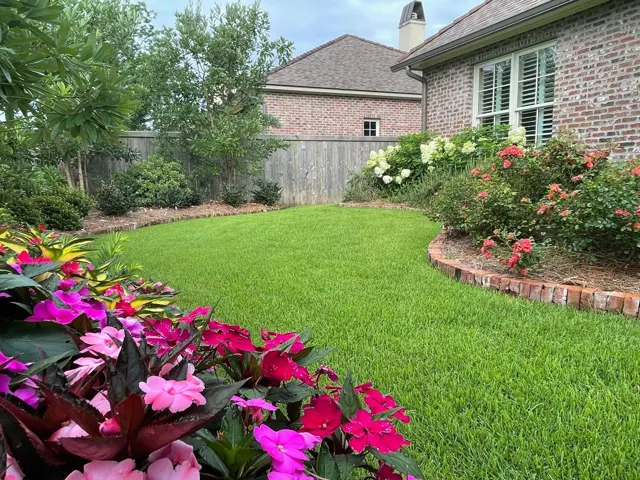 Eddy project — Layered planting · Irrigation · Lighting · Maintenance