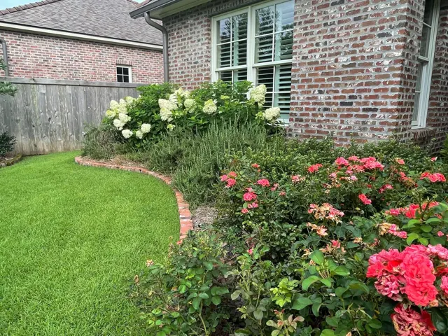 Eddy landscape project — photo 4