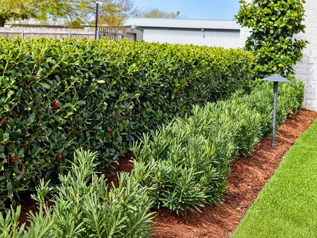 Grisby landscape project — photo 8