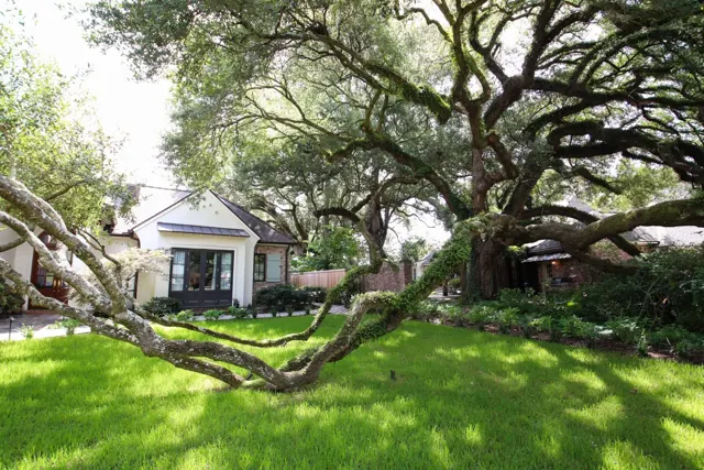 Landry landscape project — photo 27