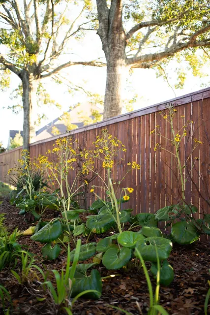 Meier landscape project — photo 4