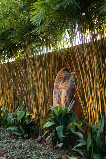 Meier landscape project — photo 25