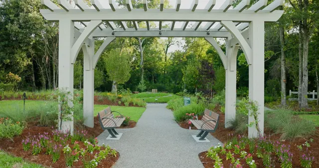 Moncus landscape project — photo 13