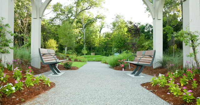 Moncus landscape project — photo 14