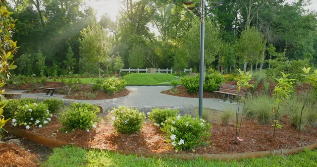 Moncus landscape project — photo 15