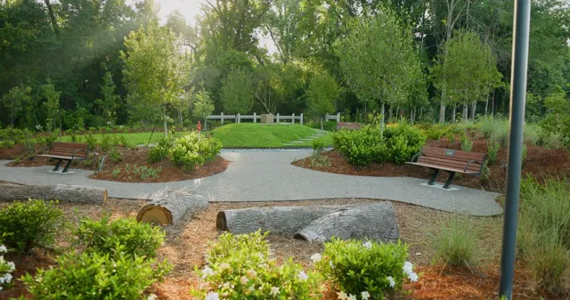 Moncus landscape project — photo 16