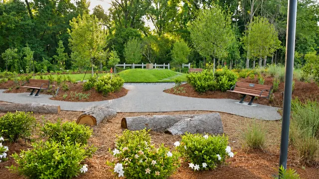 Moncus landscape project — photo 21