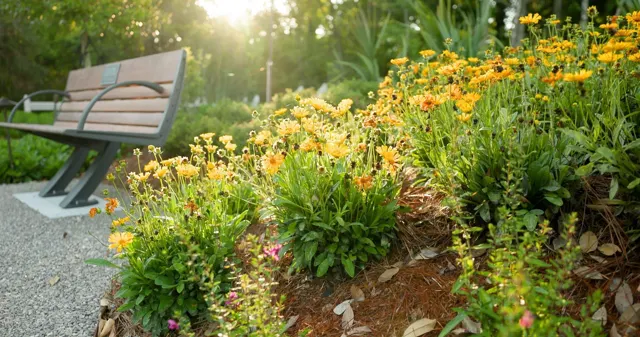 Moncus landscape project — photo 25