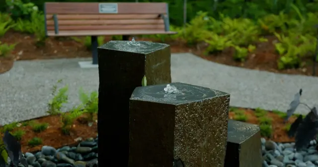 Moncus landscape project — photo 30