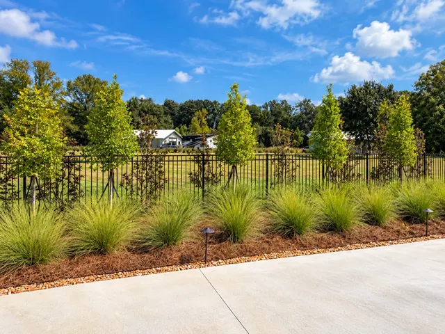Reed landscape project — photo 10