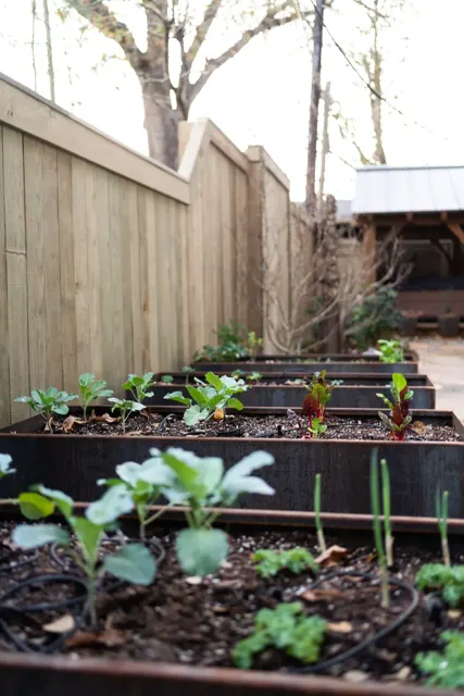 Williams landscape project — photo 56