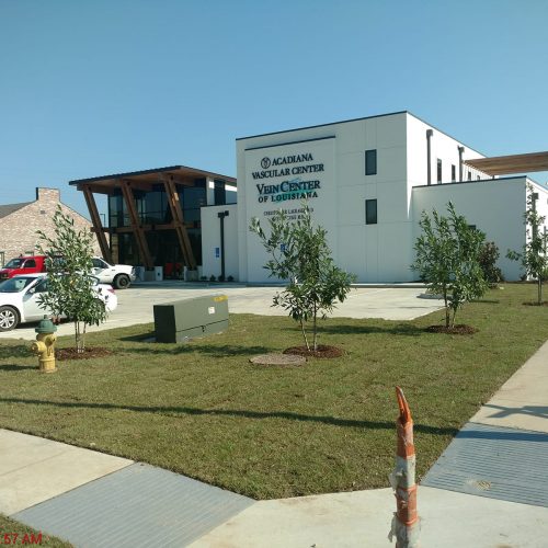 Acadiana Vascular 02 – 2017 Acadiana Vascular 02 - 2017