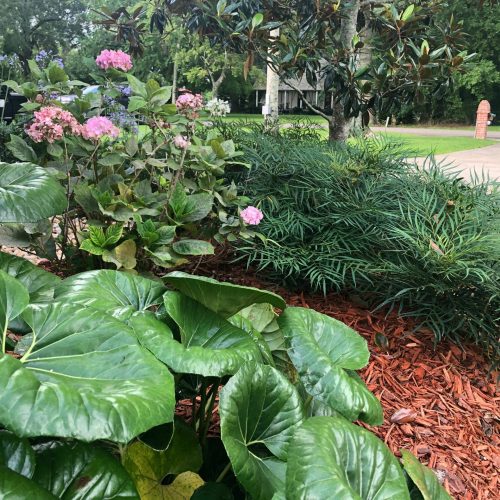 LandscapeInstallation11 LandscapeInstallation11