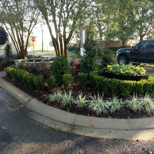 LandscapeInstallation7 LandscapeInstallation7