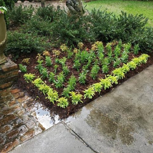 LandscapeInstallation8 LandscapeInstallation8